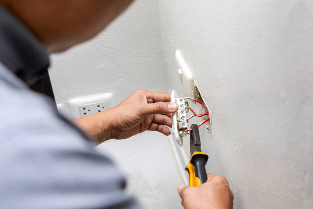 Best Ceiling Fan Installation Electrician  in Ramsey, MN